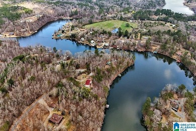 Waterfront Lot on Highland Lake - A Hidden Gem in Alabama! Build - photo 17