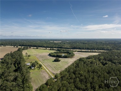 Prime Development Opportunity - 55 Cleared Acres Near I-16 - photo 17