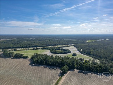 Prime Development Opportunity - 55 Cleared Acres Near I-16 - photo 18