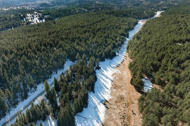 Located at the end of a quiet cul-de-sac, this homesite boasts - photo 18