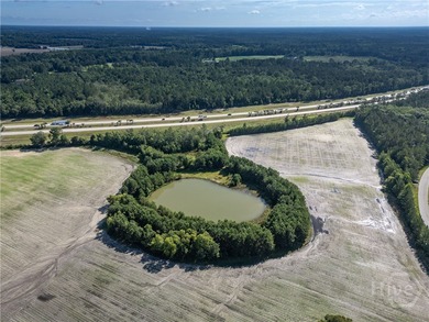 Prime Development Opportunity - 55 Cleared Acres Near I-16 - photo 19