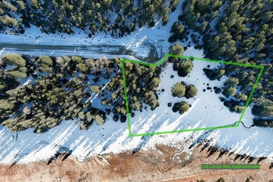 Located at the end of a quiet cul-de-sac, this homesite boasts - photo 19