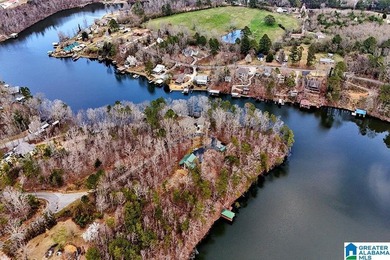 Waterfront Lot on Highland Lake - A Hidden Gem in Alabama! Build - photo 20
