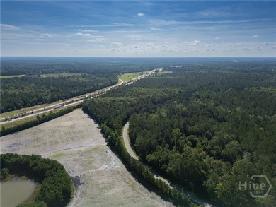 Prime Development Opportunity - 55 Cleared Acres Near I-16 - photo 20