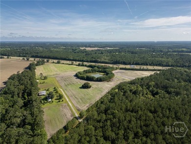 Prime Development Opportunity - 55 Cleared Acres Near I-16 - photo 21
