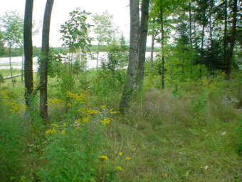 Rolling Stone Lake Lot For Sale in Pearson Wisconsin