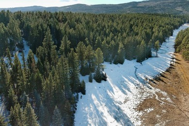 Located at the end of a quiet cul-de-sac, this homesite boasts - photo 21
