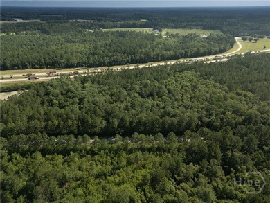 Prime Development Opportunity - 55 Cleared Acres Near I-16 - photo 22