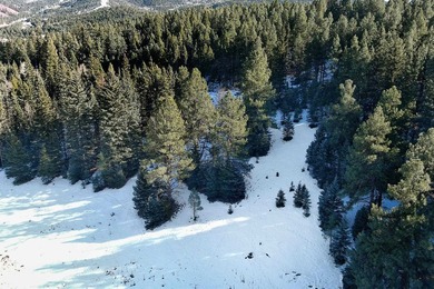 Located at the end of a quiet cul-de-sac, this homesite boasts - photo 22