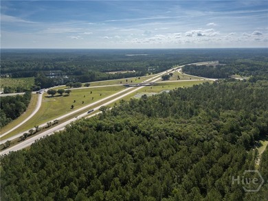 Prime Development Opportunity - 55 Cleared Acres Near I-16 - photo 23