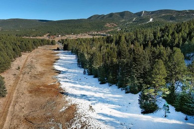 Located at the end of a quiet cul-de-sac, this homesite boasts - photo 23