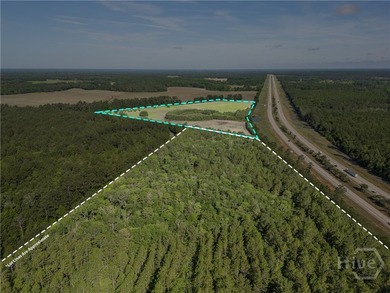 Prime Development Opportunity - 55 Cleared Acres Near I-16 - photo 24