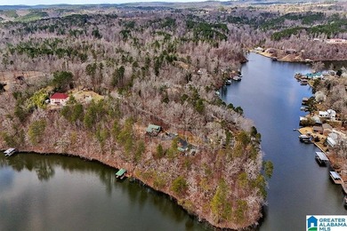Waterfront Lot on Highland Lake - A Hidden Gem in Alabama! Build - photo 25