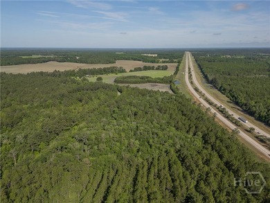 Prime Development Opportunity - 55 Cleared Acres Near I-16 - photo 25