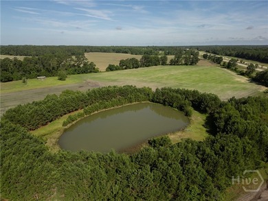 Prime Development Opportunity - 55 Cleared Acres Near I-16 - photo 26