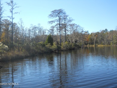 Pamlico River Acreage For Sale in Chocowinity North Carolina