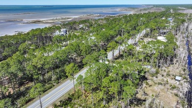 Ready to build your dream home near Cape San Blas? This level - photo 3