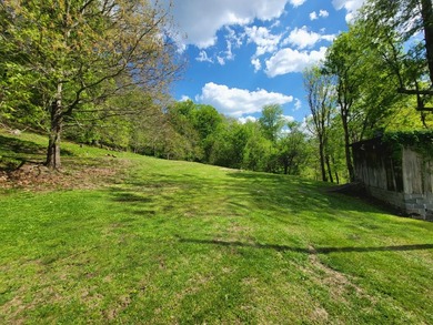 Meadow Creek WV. Lovely home sets above the New River. Four - photo 6