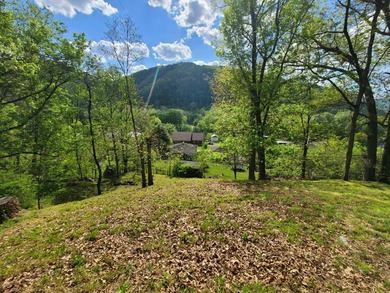 Meadow Creek WV. Lovely home sets above the New River. Four - photo 7