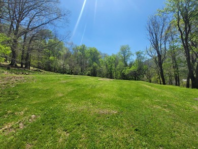 Meadow Creek WV. Lovely home sets above the New River. Four - photo 9