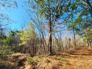 $330,000 - Nestled between Tupelo and Oxford in Pontotoc County - photo 6