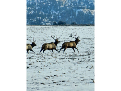 The Custer Legacy Ranch provides a rare combination to today's - photo 11