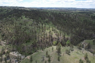 The Custer Legacy Ranch provides a rare combination to today's - photo 12
