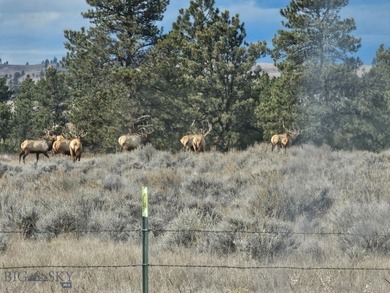 The Custer Legacy Ranch provides a rare combination to today's - photo 25