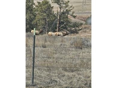The Custer Legacy Ranch provides a rare combination to today's - photo 33