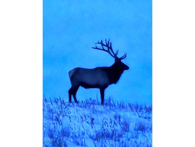 The Custer Legacy Ranch provides a rare combination to today's - photo 34