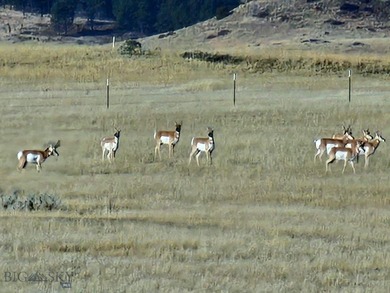 The Custer Legacy Ranch provides a rare combination to today's - photo 36