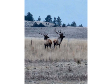 The Custer Legacy Ranch provides a rare combination to today's - photo 37