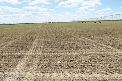 The Custer Legacy Ranch provides a rare combination to today's - photo 49
