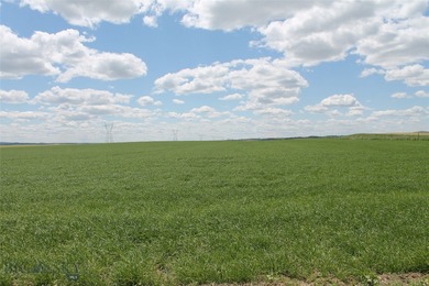 The Custer Legacy Ranch provides a rare combination to today's - photo 51