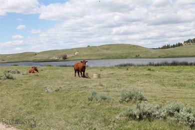 The Custer Legacy Ranch provides a rare combination to today's - photo 52