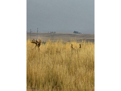 The Custer Legacy Ranch provides a rare combination to today's - photo 58