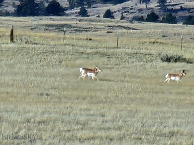 The Custer Legacy Ranch provides a rare combination to today's - photo 59