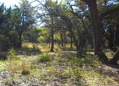 Lake Lot For Sale in Canyon Lake, Texas
