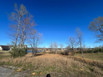 Smith Lake (Jasper) Lot 41 in the highly sought after Sipsey - photo 2