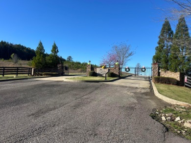 Smith Lake (Jasper) Lot 41 in the highly sought after Sipsey - photo 7