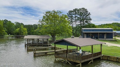 PRICE IMPROVEMENT! Unique Opportunity! INCOME GENERATING - photo 6
