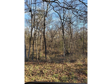 Cedar Creek Lake Lot For Sale in Mabank Texas