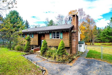 Lake Home For Sale in Forestburgh, New York
