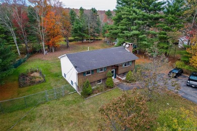 Tucked away on a nice corner lot in a quiet area of Forestburgh - photo 2