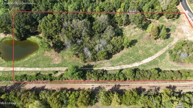 Lake Acreage For Sale in Senatobia, Mississippi