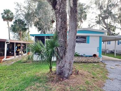 Lake Denham Home For Sale in Leesburg Florida