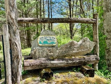 One of Pocahontas County's most magical settings, this - photo 7