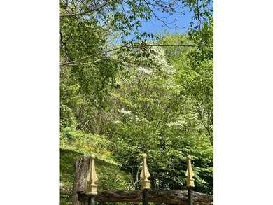 One of Pocahontas County's most magical settings, this - photo 8