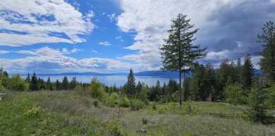Flathead Lake Acreage For Sale in Bigfork Montana