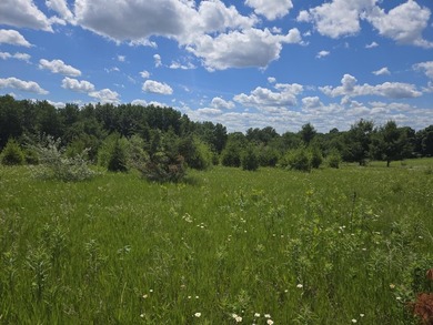 Dutch Hollow Lake Lot For Sale in La Valle Wisconsin